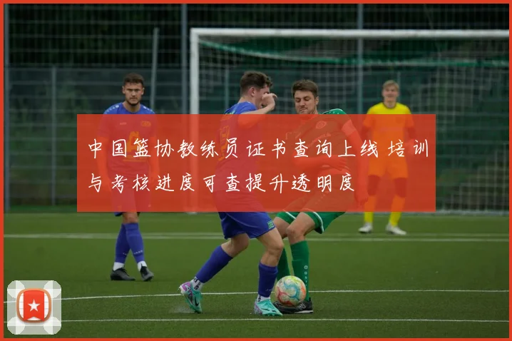 中国篮协教练员证书查询上线 培训与考核进度可查提升透明度