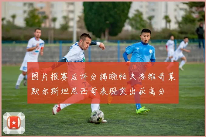 图片报赛后评分揭晓帕夫洛维奇莱默尔斯坦尼西奇表现突出获高分